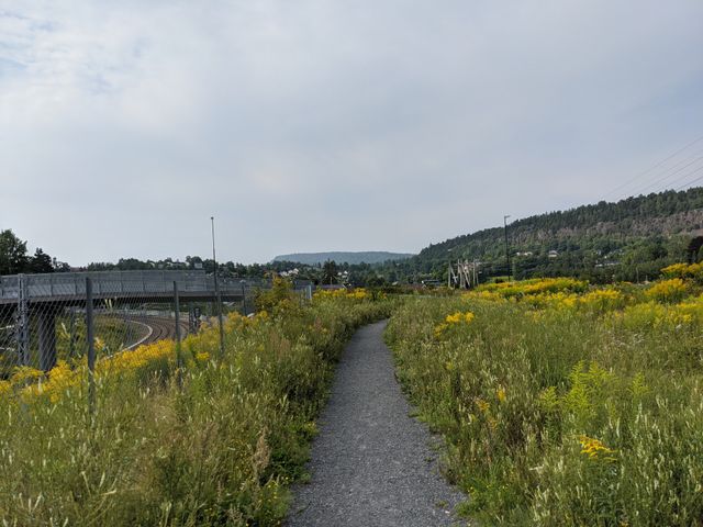 I don't know if this is road or nature, but hey!