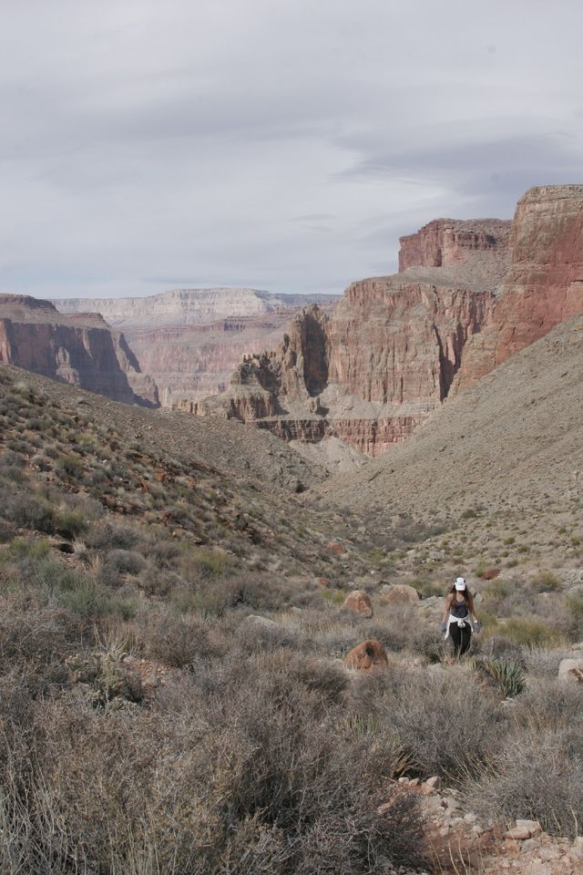 Amanda's about to enter Surprise Valley