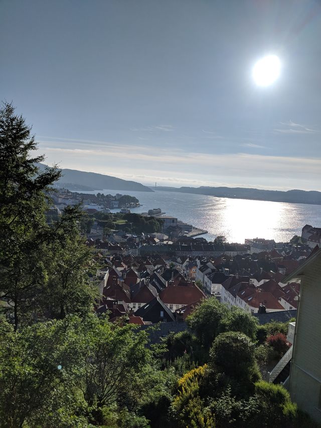 Bergen from above