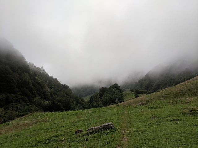 The French side is so lush and green!