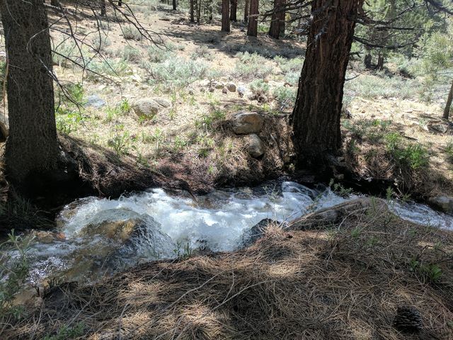 A bubbling creek, full of cold and clear water!