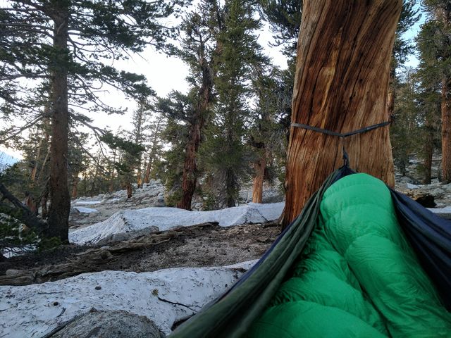 View towards the setting sun from my hammock