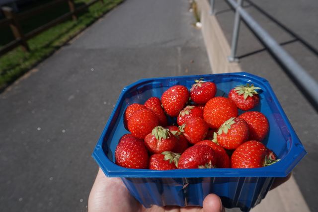 Fresh produce is such a delight in a world of dried & preserved food