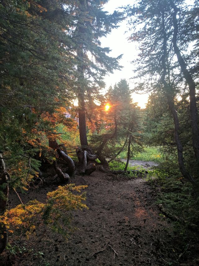 Sunset from my hammock