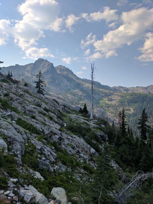 That trail slicing the face of the mountain isn't the PCT