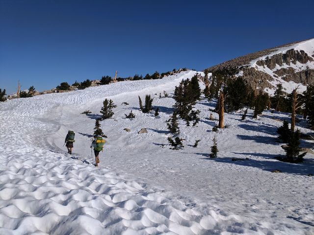 Monk and Peanut climbing the ridge