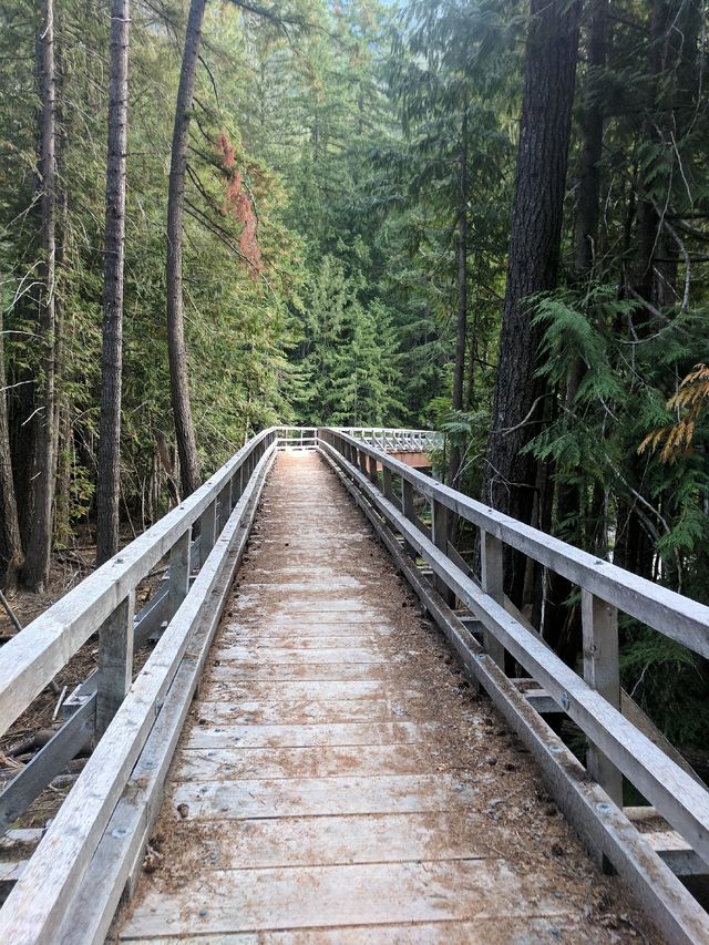 The bridge over the Suiattle River