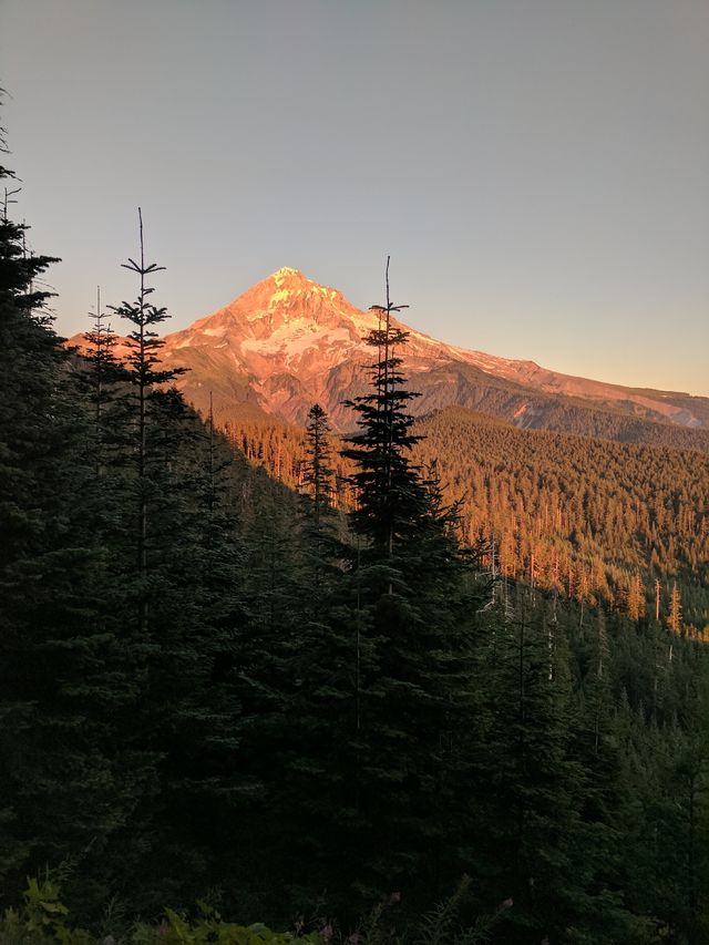 Mt Hood in the setting sun