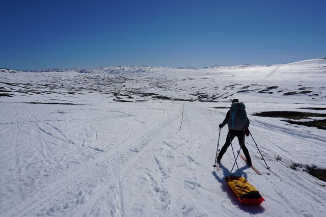 Alex navigating the descent with her pulk in tow