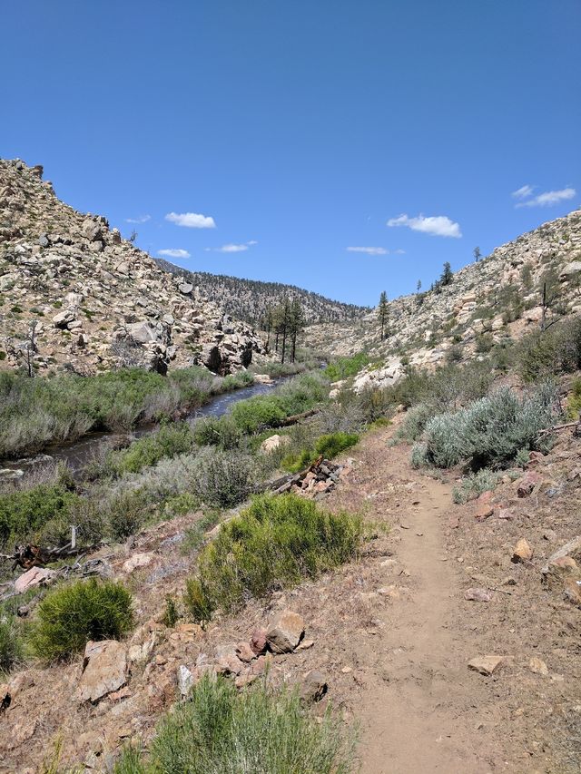 The road into Kennedy Meadows and out of the desert