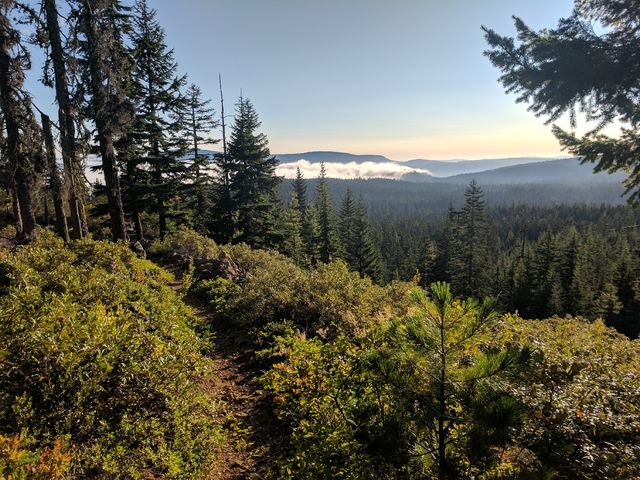 A layer of clouds settles in a valley.