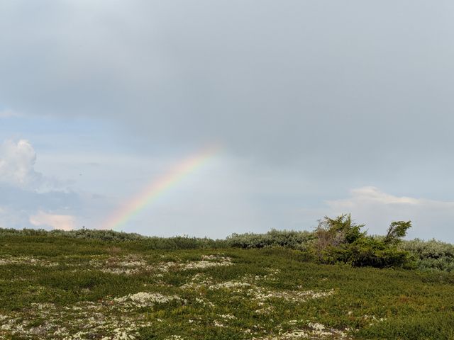 Pretty rainbows, too!