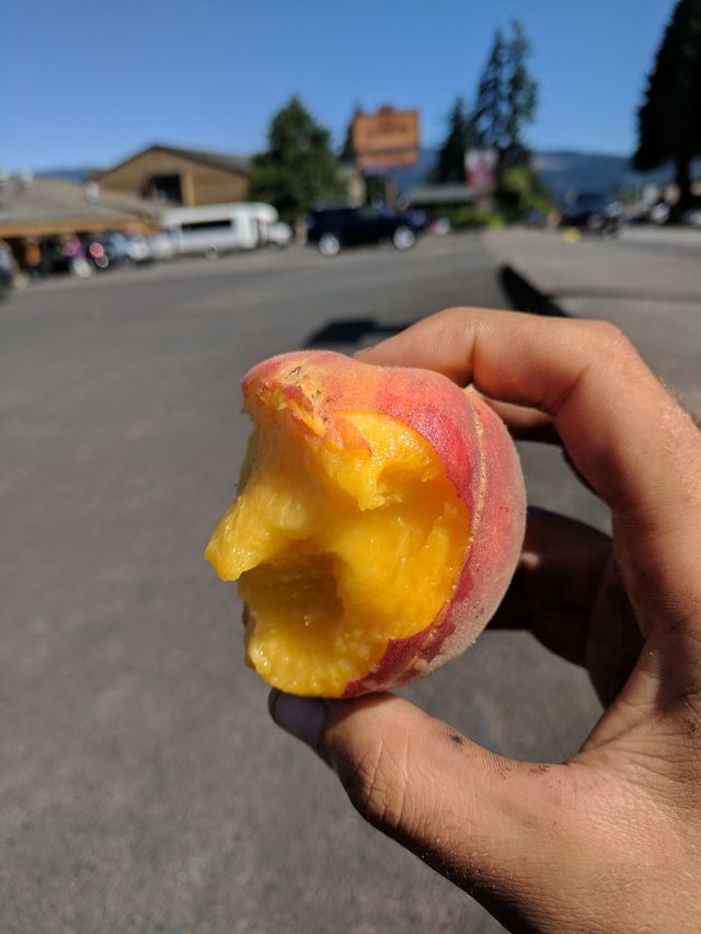 The peach that started it all