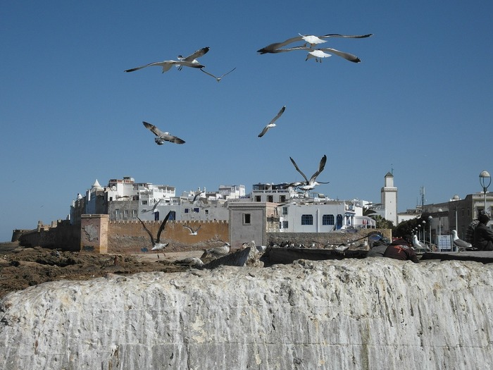 Séjour Kitesurf à Essaouira au Maroc : stage de découverte avec cours et hôtel au cœur de la médina