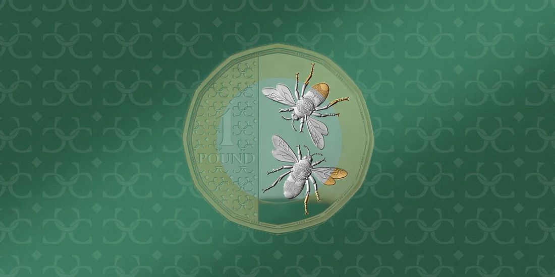 Pièce britannique de 1 livre de la série Charles III ornée de deux abeilles