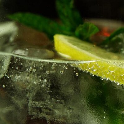 Logo de la société The London Gin Club