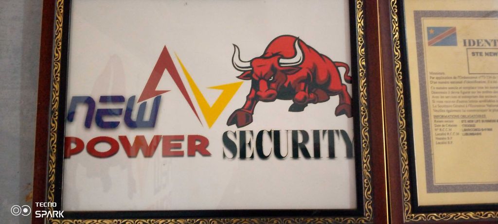 NEW Power Security