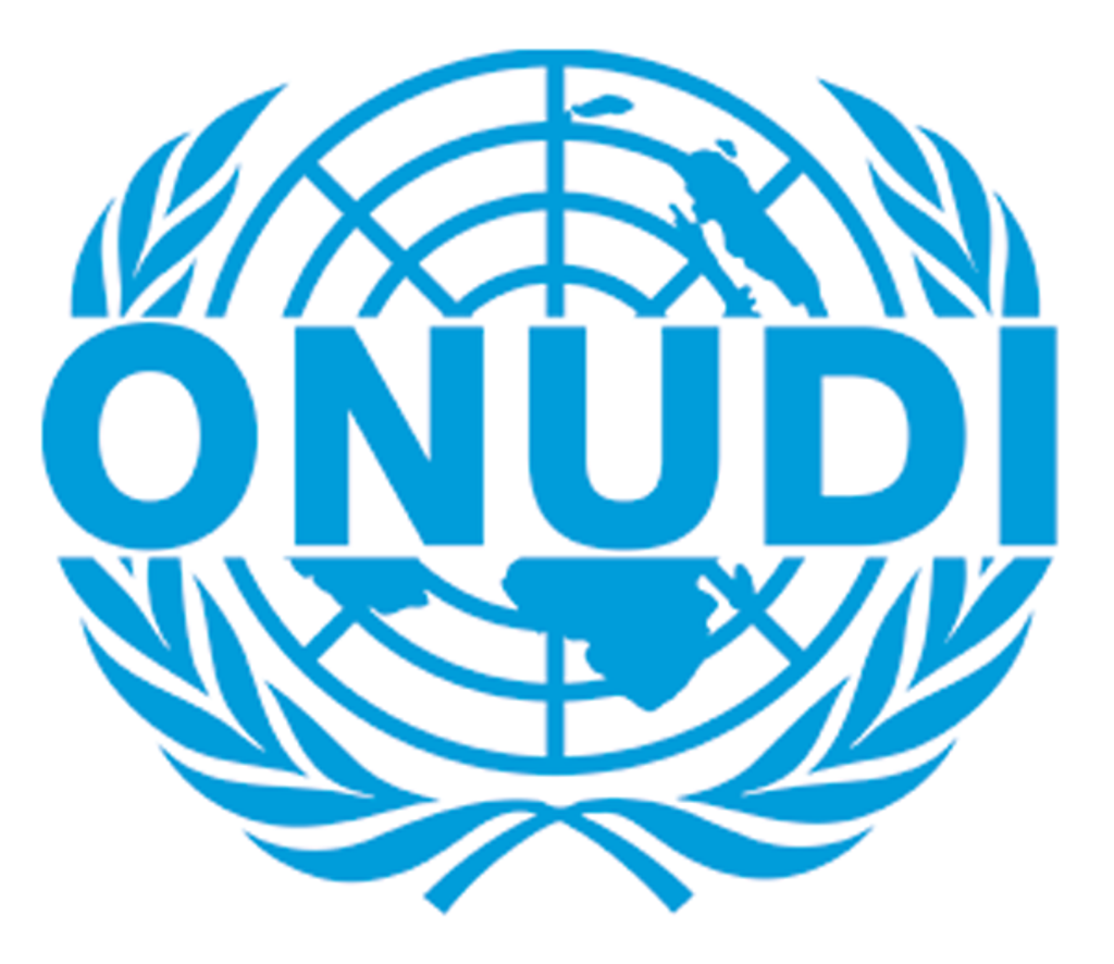 Organisation des Nations Unies pour le Développement Industriel (ONUDI)