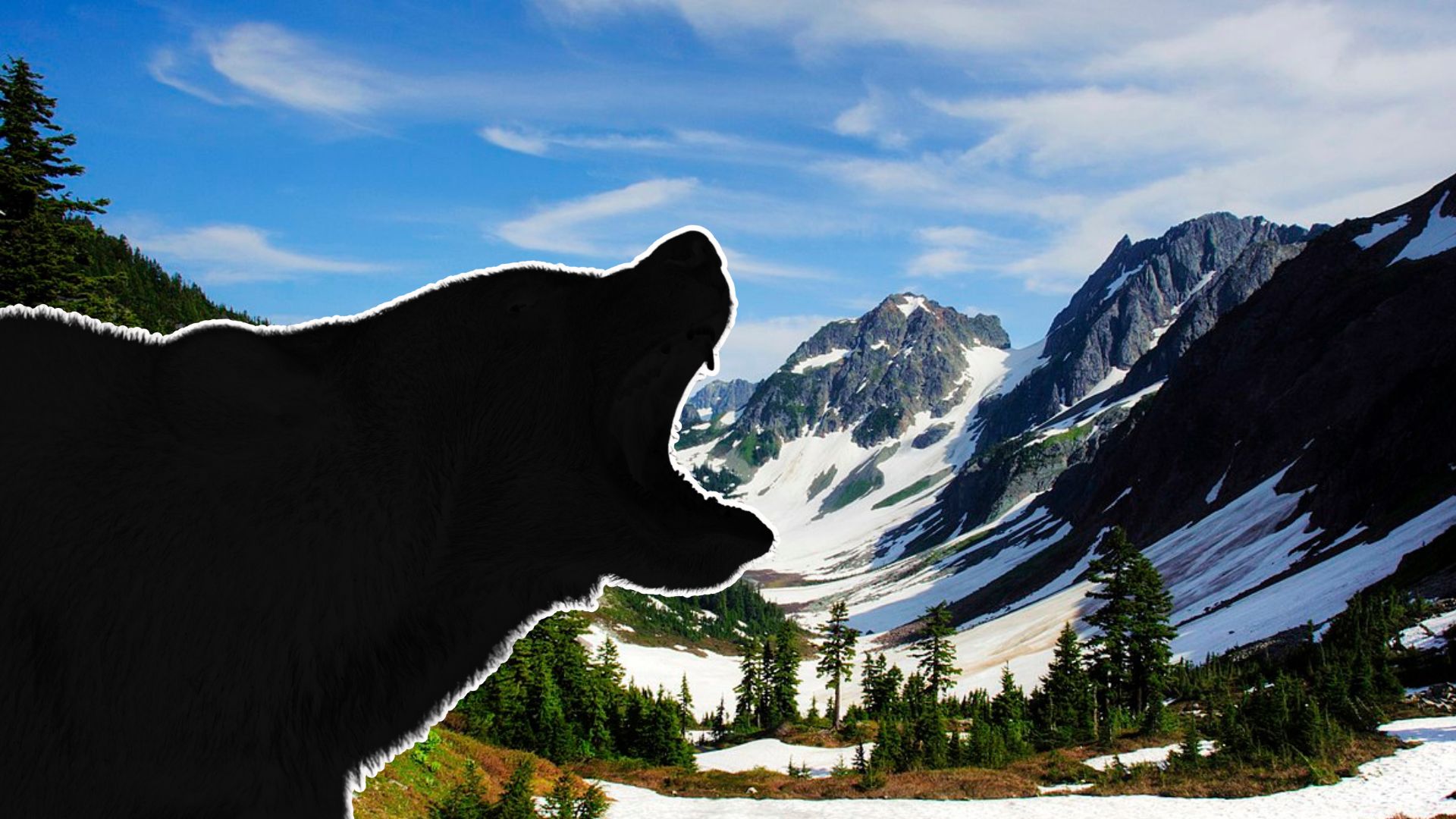 Apex Predator Returns After It Was Hunted to Near Extinction