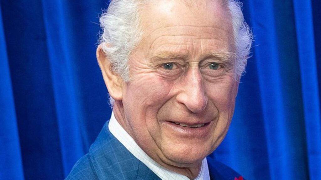 King Charles wearing a blue suit and a white collar shirt. He is standing in front of a blue curtain.