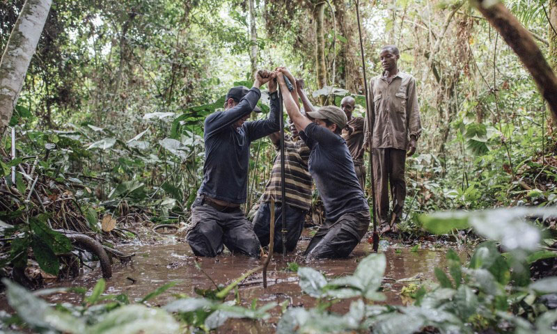 Digitalcongo net Greenpeace Afrique appelle les deux Congo