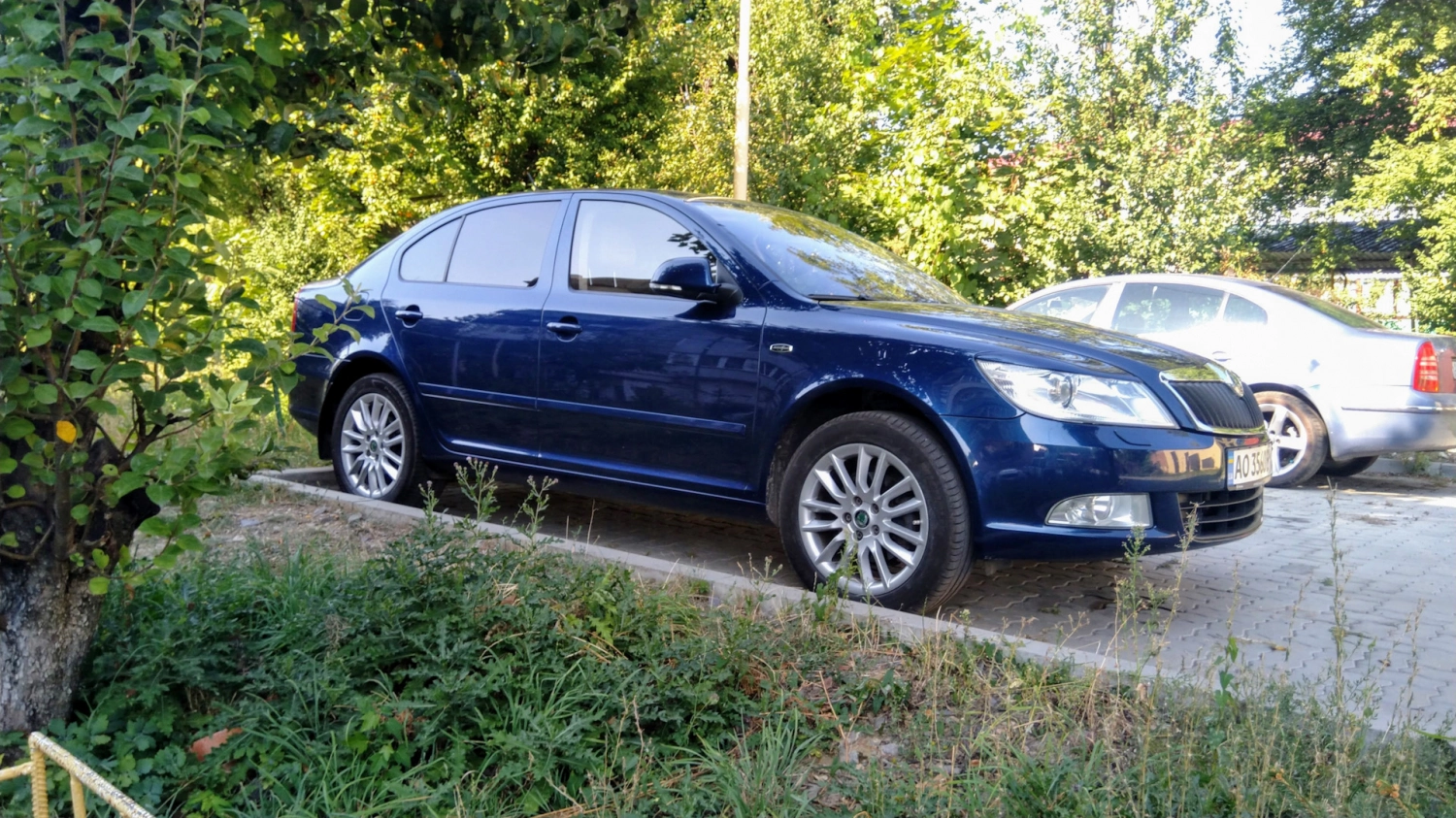 Літо — 215/55 R17 CEPEUS, Код продукта 1Z0071496