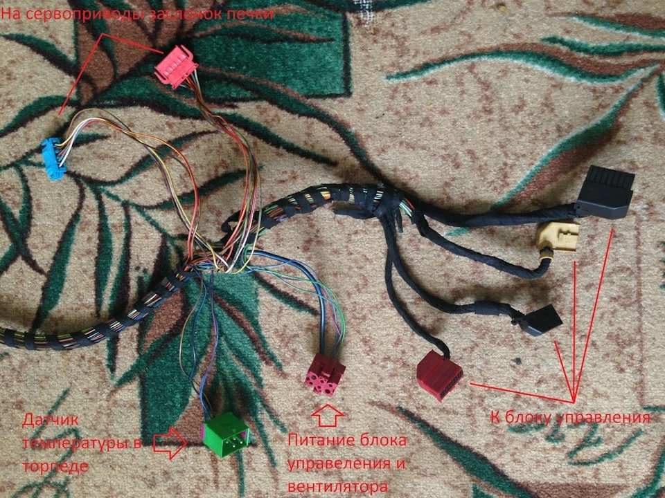 Фото из статьи Саши Марчука