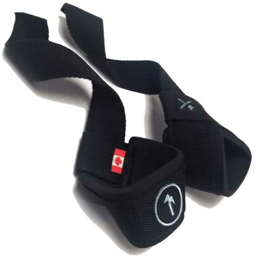 Harbinger Padded Leather Lifting Straps