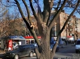 Фото дома по адресу Щусева академика улица 6