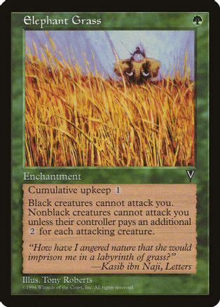 Elephant Grass Magic Visions