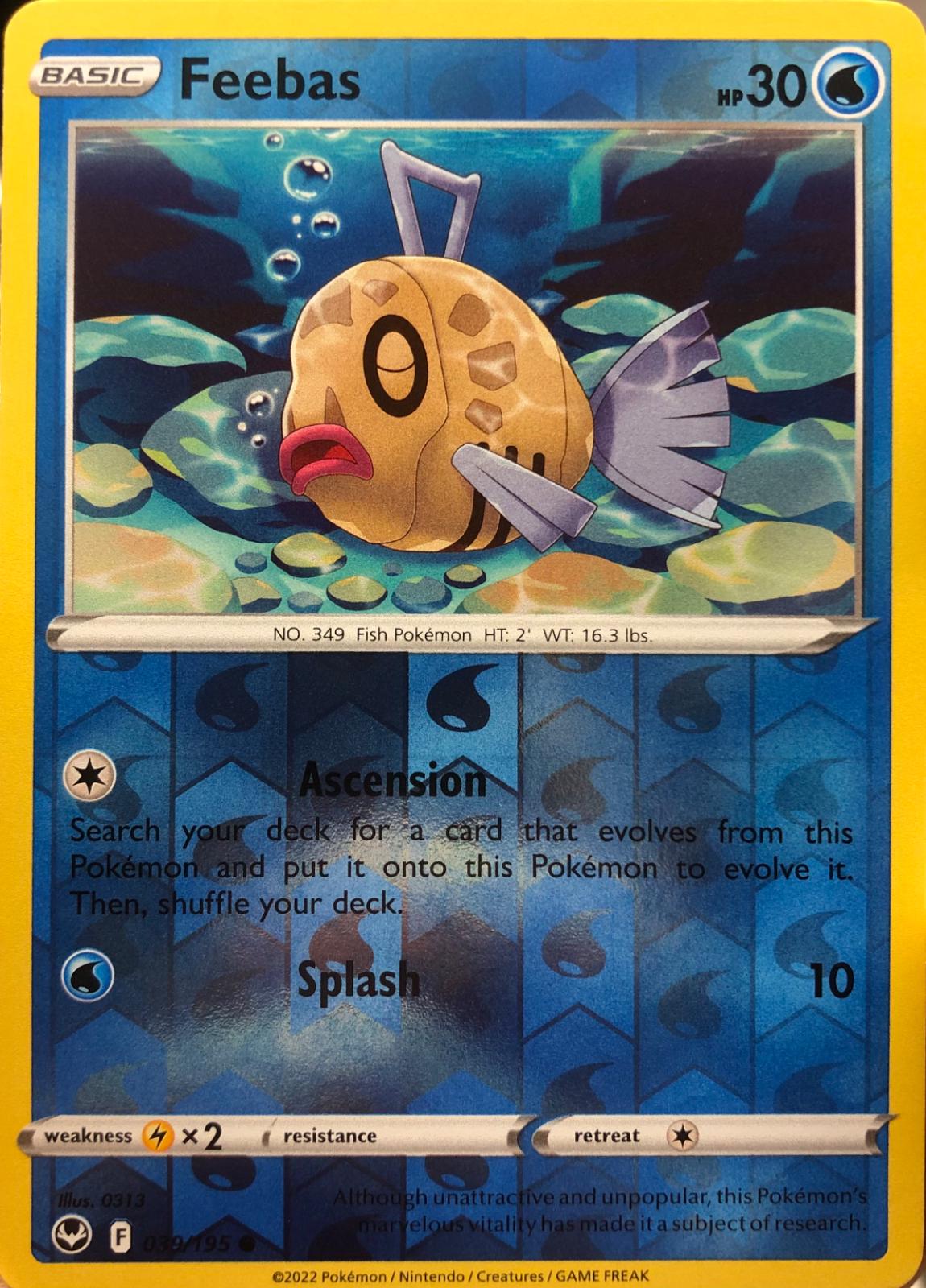 Silver Tempest