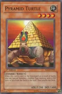 Pyramid Turtle SD2-EN005