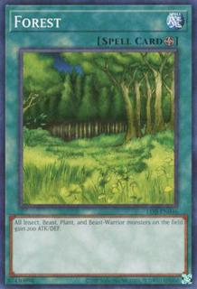 Forest LOB-EN046