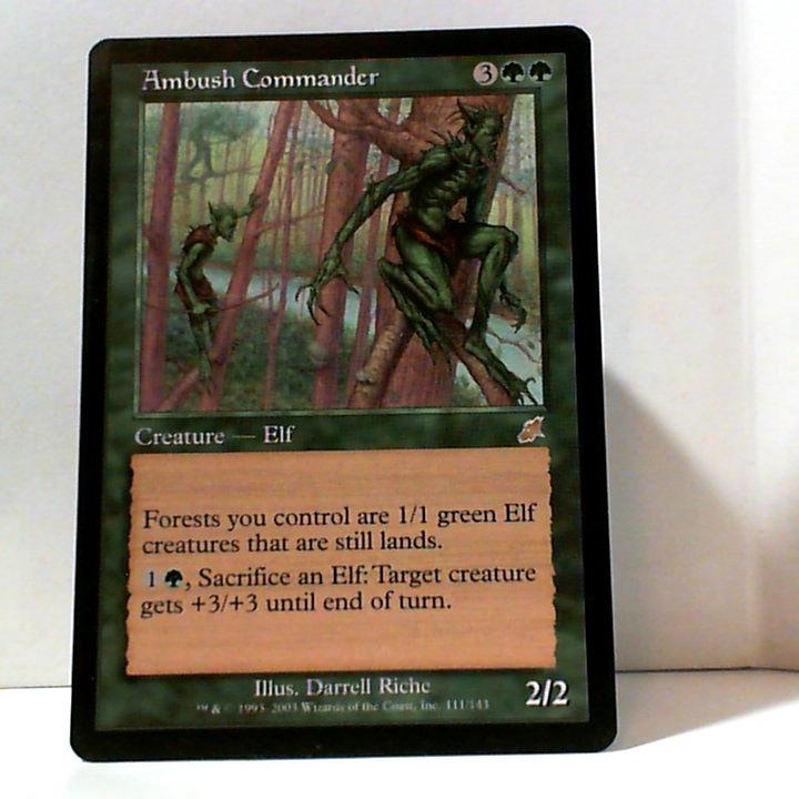 Ambush Commander Magic Scourge