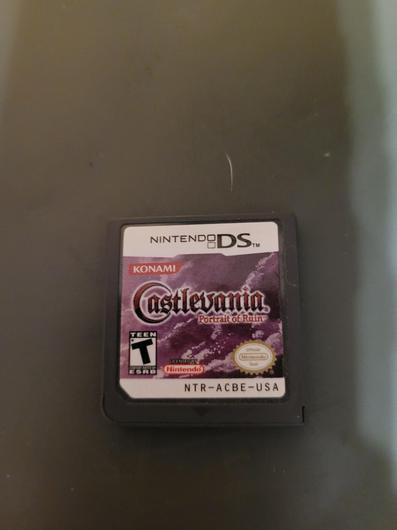 Castlevania Portrait of Ruin photo