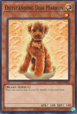 Outstanding Dog Marron DCR-EN062 YuGiOh Dark Crisis: 25th Anniversary