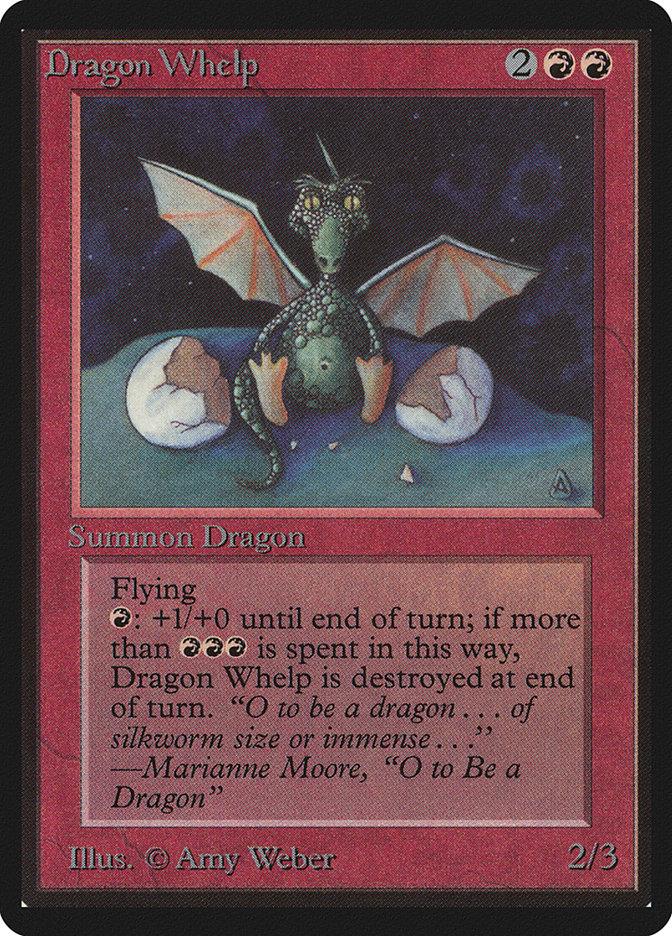 Dragon Whelp Magic Beta