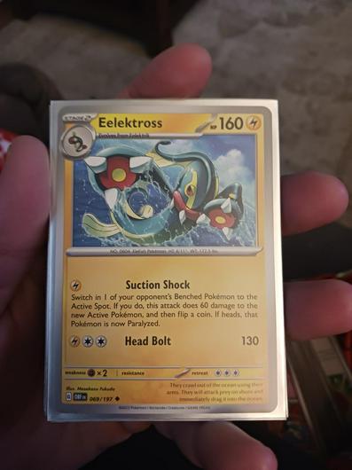 Eelektross #69 photo