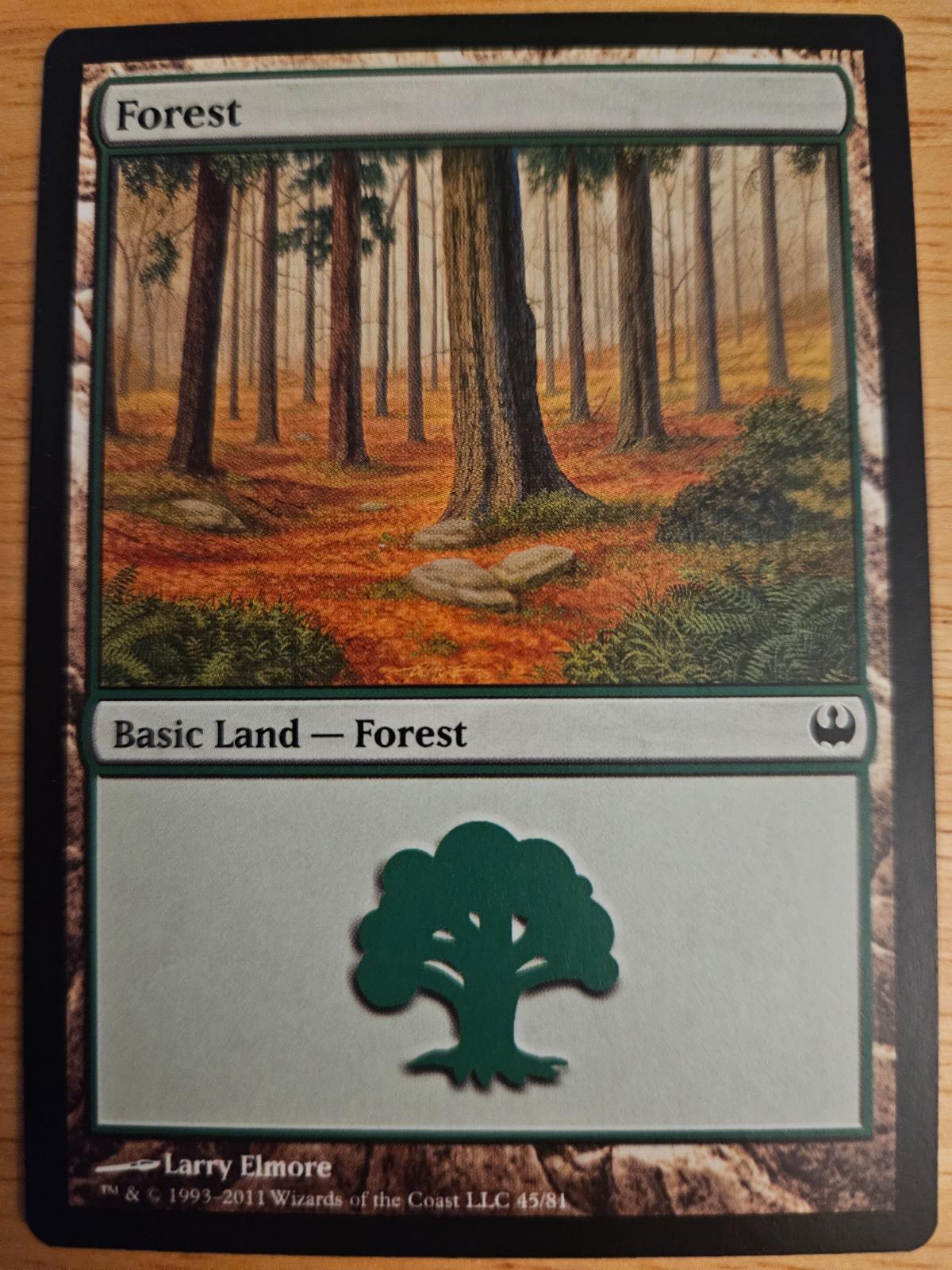 Forest #45 Magic Knights vs Dragons