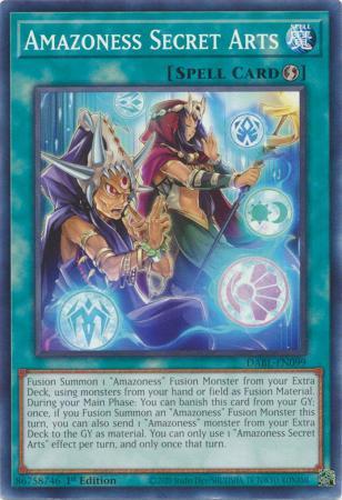 Amazoness Secret Arts DABL-EN099 Cover Art