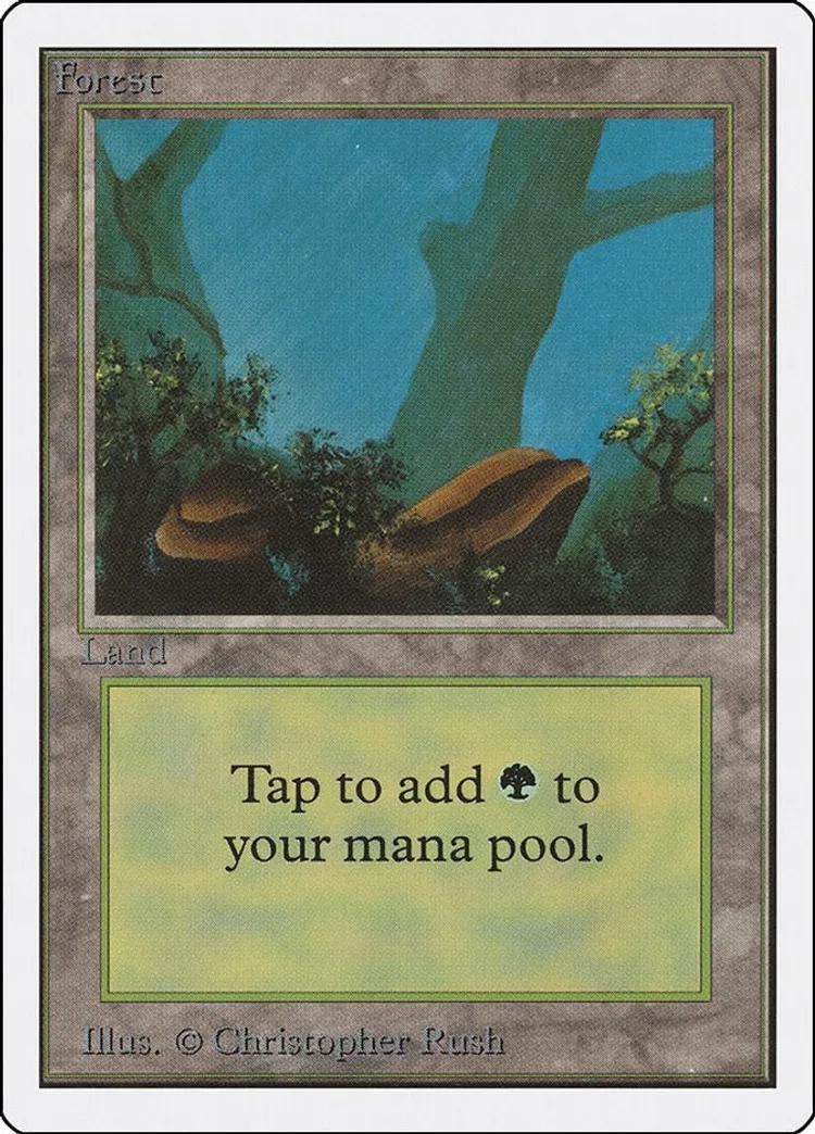 Forest Magic Unlimited