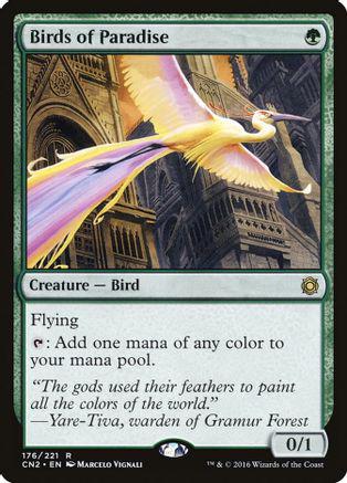 Birds of Paradise #176 Magic Conspiracy Take the Crown