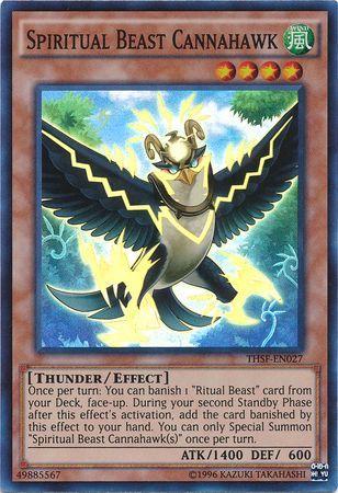 Spiritual Beast Cannahawk THSF-EN027 YuGiOh The Secret Forces
