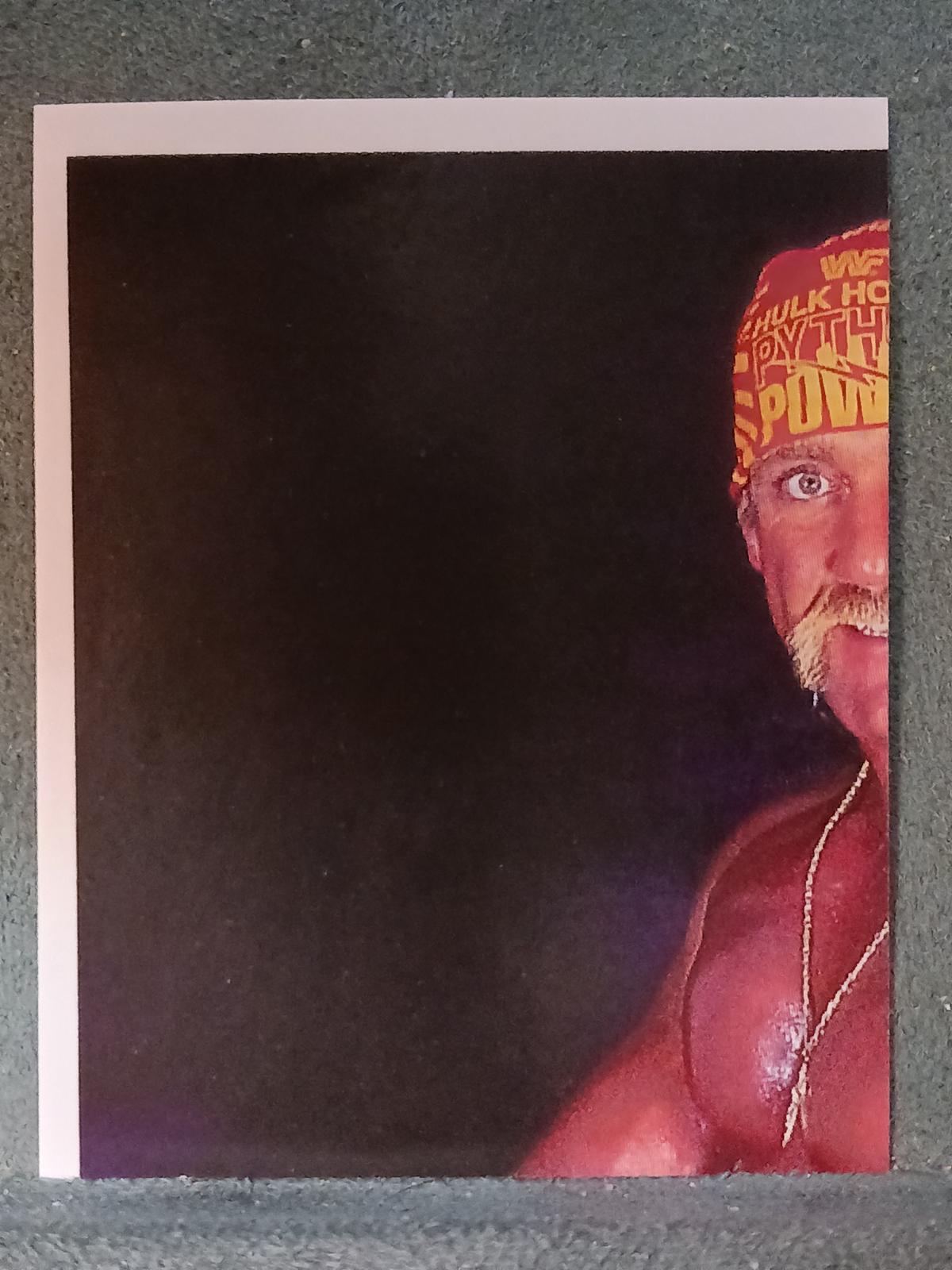 Hulk Hogan #6 Wrestling Cards 1992 Merlin WWF Stickers