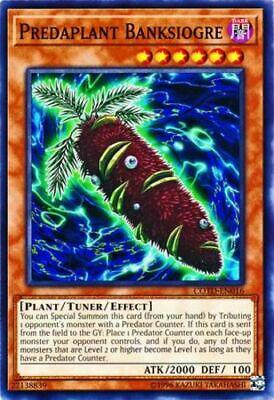 Predaplant Banksiogre COTD-EN016 YuGiOh Code of the Duelist