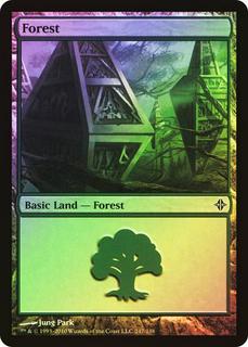 Forest