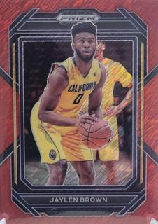 Jaylen Brown