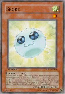 Spore TSHD-EN019