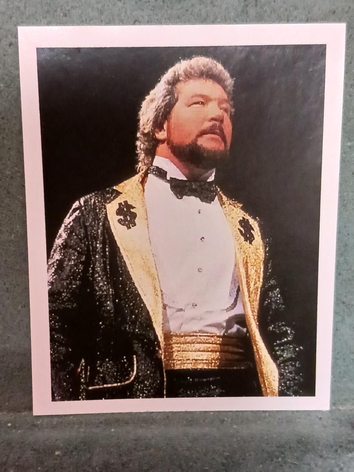 Money Inc. #25 Wrestling Cards 1992 Merlin WWF Stickers