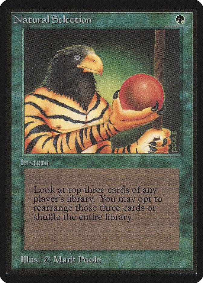 Natural Selection Magic Beta